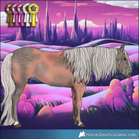 Horse Color:Silver Smoky Black 