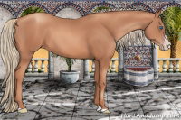 Horse Color:Gold Champagne Splash 