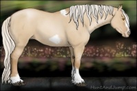 Horse Color:Silver Grullo Roan Pearl Tobiano Frame 