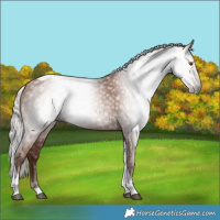 Horse Color:Gray Silver Black Pearl Tobiano 