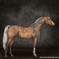 Horse Color:Silver Brown Rabicano  and Silver Brown Dun Rabicano 