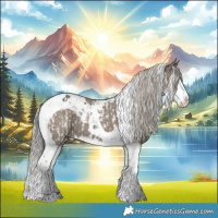 Horse Color:Grullo Splash Tobiano and Silver Grullo Splash Tobiano
