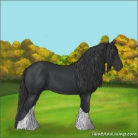 Horse Color:Black Tobiano 