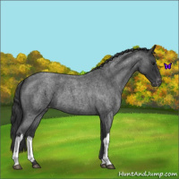 Horse Color:Blue Roan Varnish 