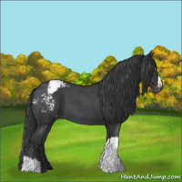 Horse Color:Blue Roan Blanket 