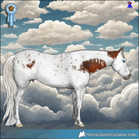 Horse Color:Gray Silver Bay Splash Tobiano and Gray Silver Bay Splash Tobiano