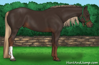 Horse Color:Liver Chestnut  and Liver Chestnut 