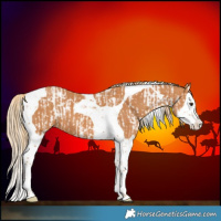 Horse Color:Chestnut Splash Tobiano  and Chestnut Splash Tobiano 