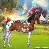 Horse Color:Chestnut Splash Tobiano  and Bay Splash Tobiano 