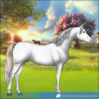 Horse Color:Brown Blanket  and Liver Chestnut Blanket 
