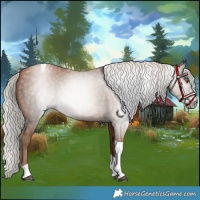 Horse Color:Gray Silver Black Pearl Tobiano 