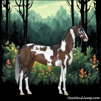 Horse Color:Brown Splash Tobiano  and Brown Splash Tobiano 