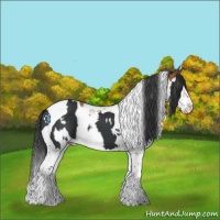 Horse Color:Bay Splash Tobiano and Black Splash Tobiano