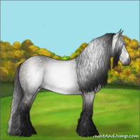 Horse Color:Gray Grullo 