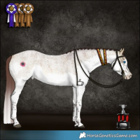 Horse Color:Chocolate Buckskin Roan Dun Splash Tobiano