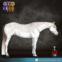 Horse Color:Chocolate Buckskin Roan Dun Splash Tobiano 