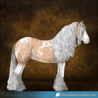 Horse Color:Bay Dun Splash Tobiano  and Silver Bay Dun Splash Tobiano 