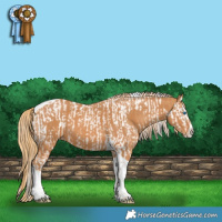 Horse Color:Chestnut Splash Tobiano  and Chestnut Splash Tobiano 