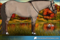 Horse Color:Liver Red Dun 