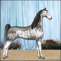 Horse Color:Grullo Sabino Splash  and Grullo Sabino Splash