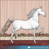 Horse Color:Grullo Blanket 