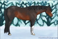 Horse Color:Brown 