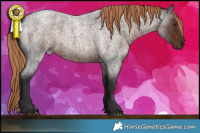 Horse Color:Liver Red Roan 