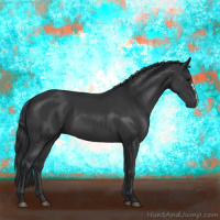 Horse Color:Black 