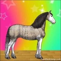 Horse Color:Grullo Sabino Splash  and Classic Champagne Dun Sabino Splash 