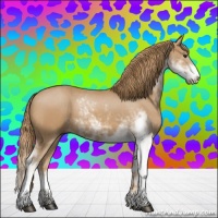 Horse Color:Chestnut Sabino 