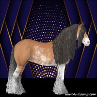 Horse Color:Bay Sabino 