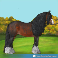 Horse Color:Brown 