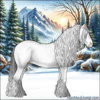 Horse Color:Grullo Sabino Splash  and Grullo Sabino Splash 