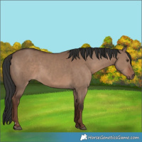 Horse Color:Liver Red Dun 