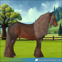 Horse Color:Liver Chestnut 