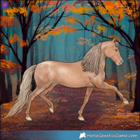 Horse Color:Gold Champagne 