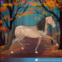 Horse Color:Amber Champagne 