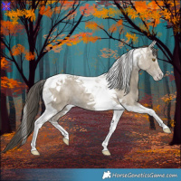 Horse Color:Classic Cream Champagne Tobiano 