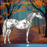 Horse Color:White Spotted Silver Buckskin Splash Tobiano 