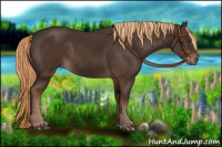 Horse Color:Liver Chestnut Rabicano 