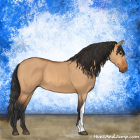 Horse Color:Bay Dun