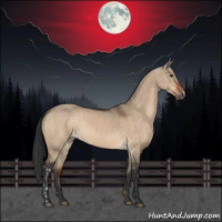 Horse Color:Brown Dun  and Brown Dun 