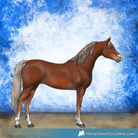 Horse Color:Chestnut Rabicano 