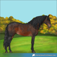 Horse Color:Brown 