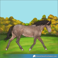 Horse Color:Sable Champagne Mushroom 