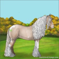 Horse Color:Silver Blue Roan Pearl Tobiano Frame 