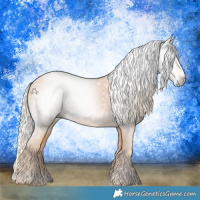 Horse Color:Gray Cremello 