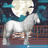 Horse Color:Gray White Spotted Liver Chestnut