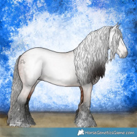 Horse Color:Gray Bay 