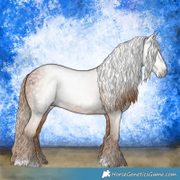 Horse Color:Gray Chestnut 